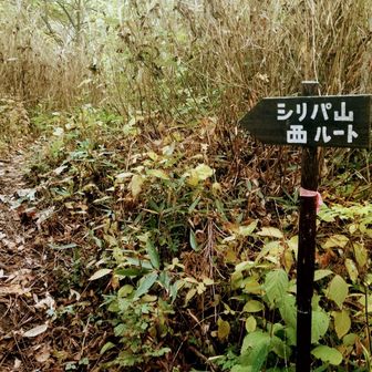 いつもこっちから,,,