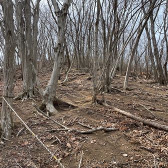 ロープ無いと大変ですね
