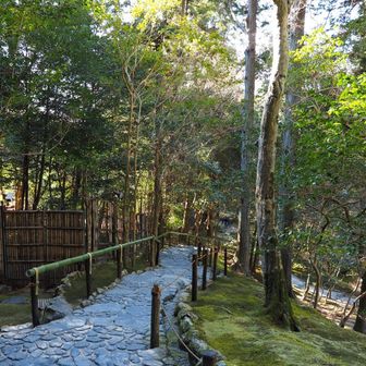 本当に美しい庭園です。