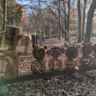 あ‼️なんか見たことある🥰