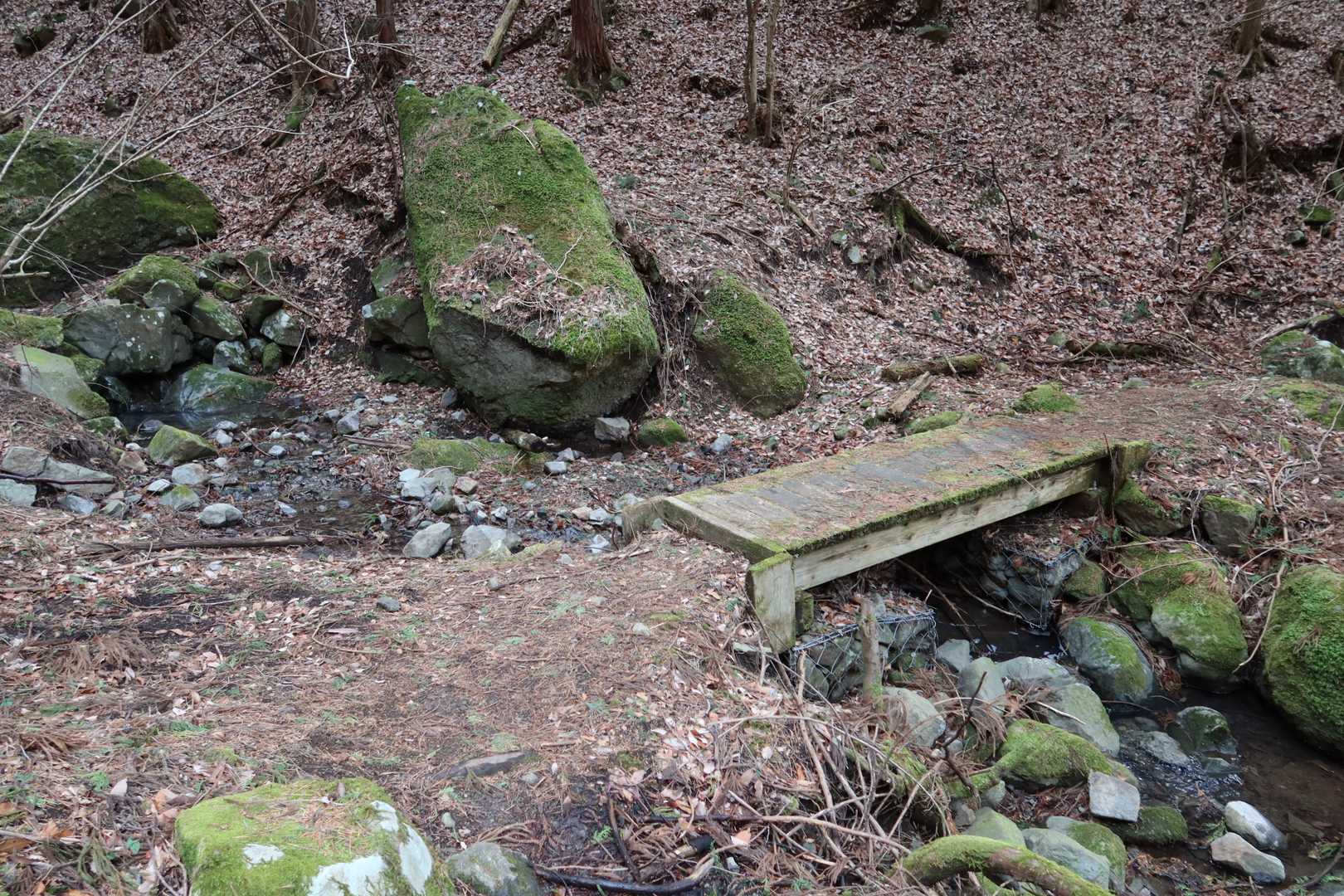 小川のせせらぎを越え