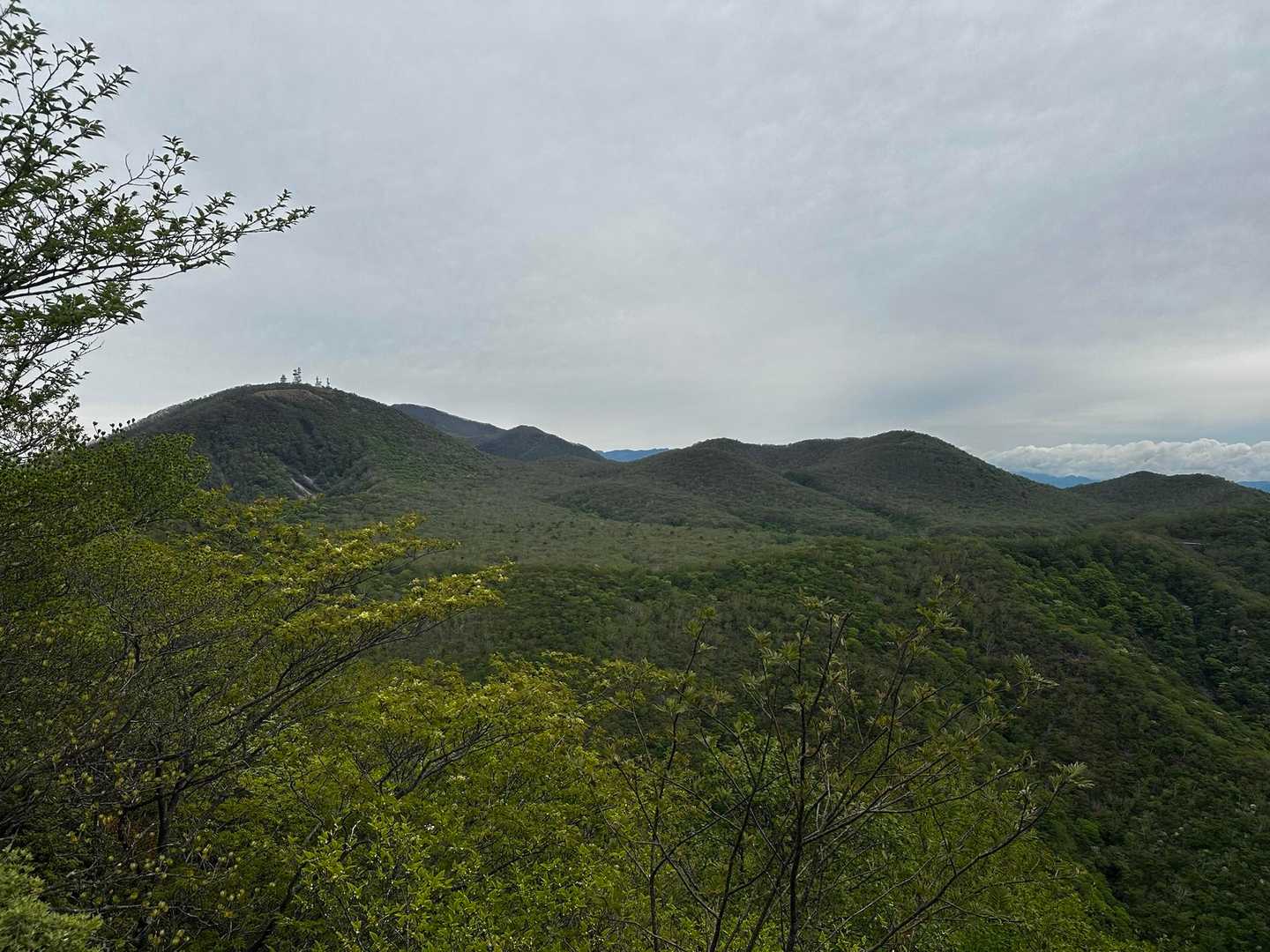 荒山への最後の登りから
左に地蔵岳、右に長七郎山