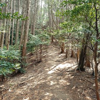 ホントに良き道😊