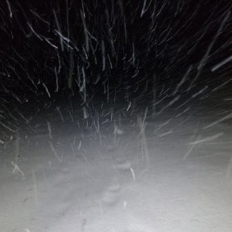 雨は夜更け過ぎに雪へと変わるだろう♪
全然サイレントナイトでは無い暴雪ナイト

でも、これでずぶ濡れの進行は防げる
雪なら払い落とせる、体温上昇させてTシャツも乾かせられる

と思ってたら、いきなり稲光！
そして間髪置かず雷鳴！
近い！！！

何を隠そう、雷は大大大の苦手

恐怖におののきながら、逃げるように歩が早まる