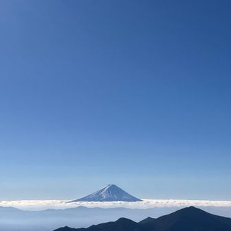 友人がコブシブルーと叫んでいた　笑