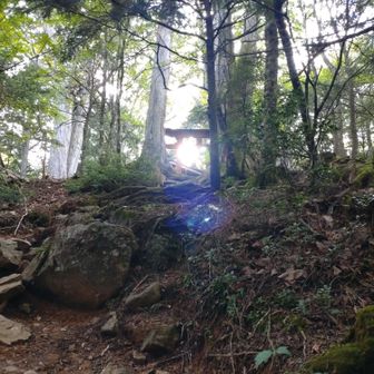 鳥居から太陽の光が！
3回目、ただ足元の道を歩くだけという空の領域に入り、神様も応援してくださっている🙏✨