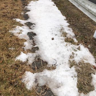 今晩、⛄️積雪するかも？