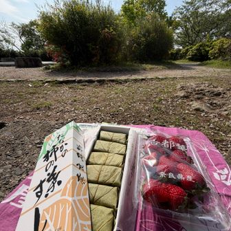 雌岳山頂で
柿の葉寿司と
奈良県産イチゴ「古都華」を
いただきました。
美味しい😋