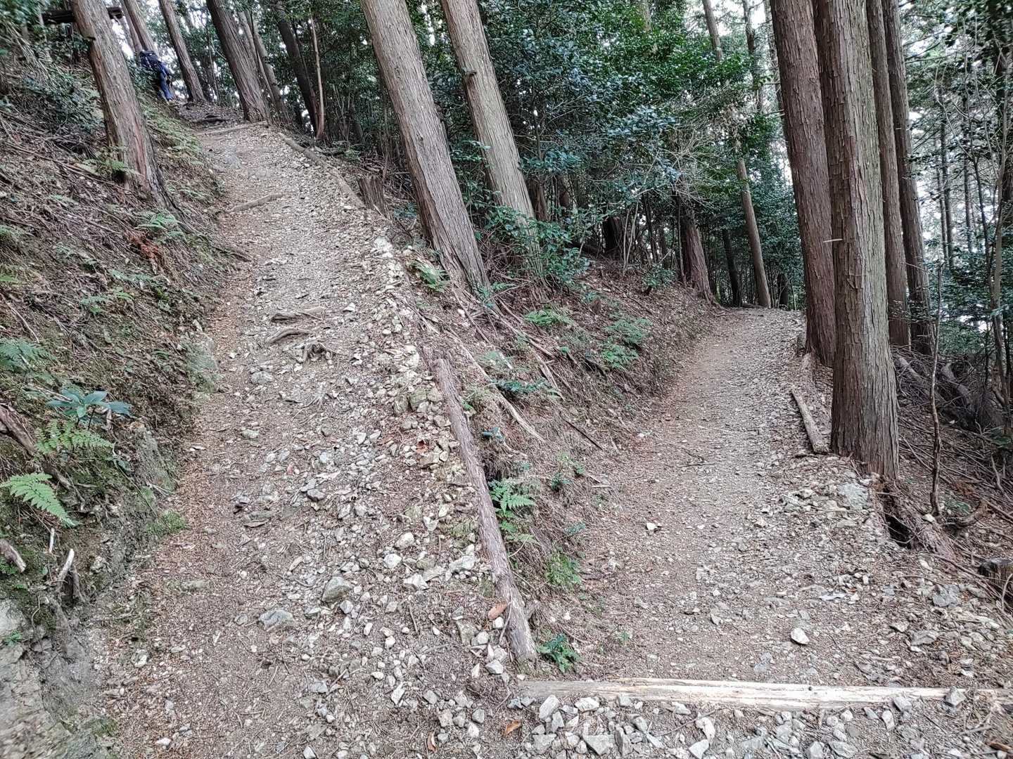 ジグザグロード…。
歩きやすいけど…斜度が辛い😣
ダイエットに効く感じ〜(ヽ´ω`)
