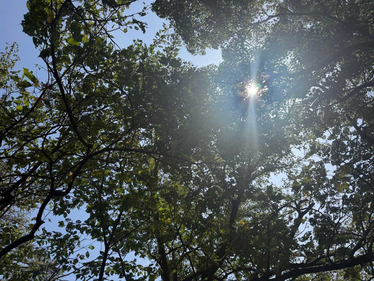 暑すぎる🥵