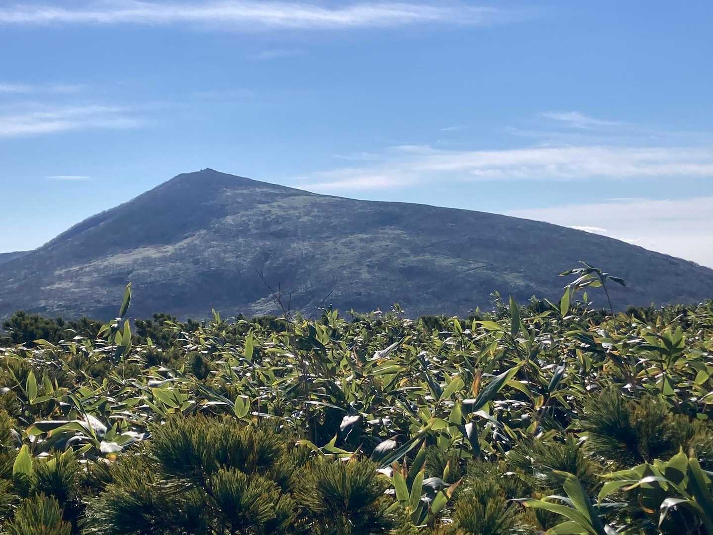 目国内岳