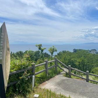 和歌山でよく見るやつ