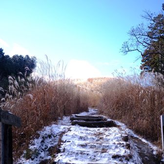 ススキウィニングロード✨今回は乾いてる〜ありがてぇ