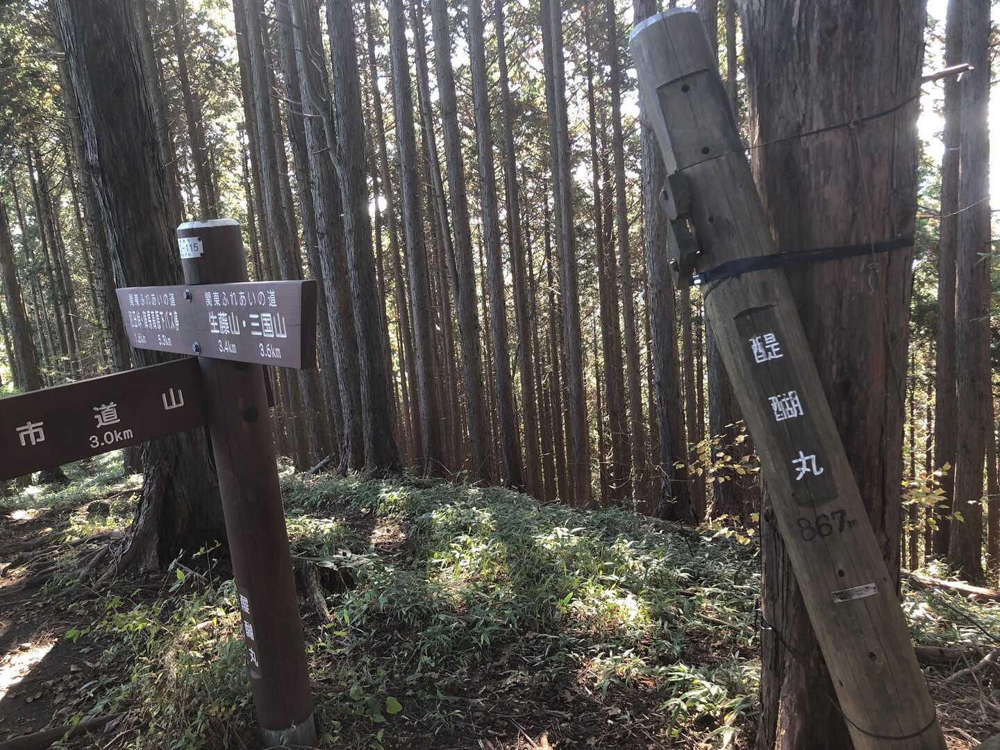 醍醐丸の写真