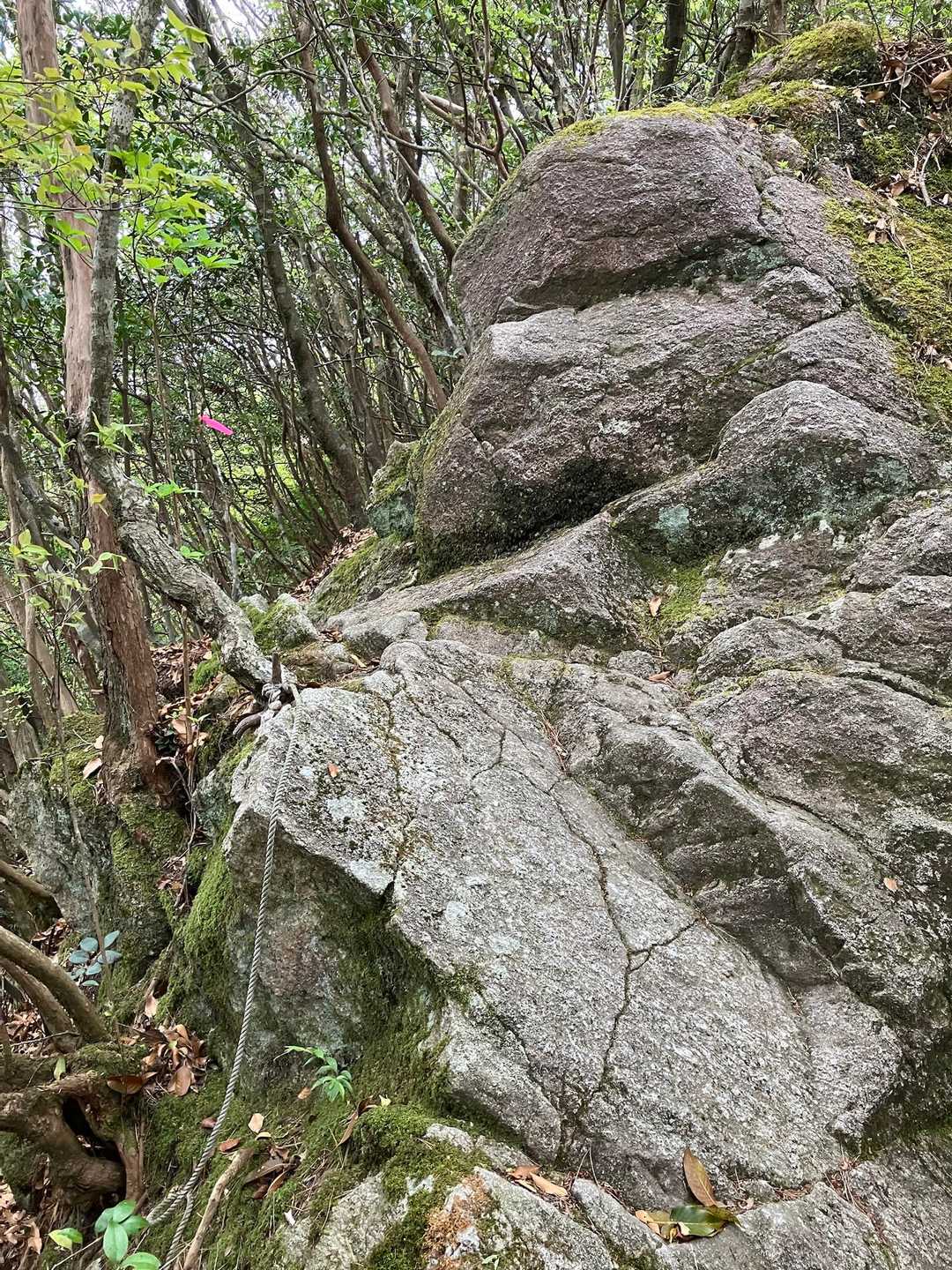 岩🪨場が出て来た。