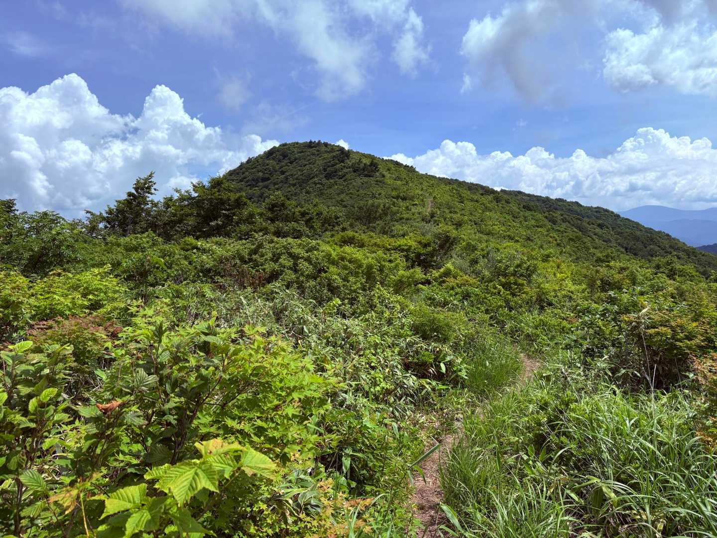 今から登る牛殺し山←恐ろしい名前😹