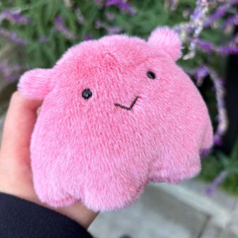 登山家メンダコ