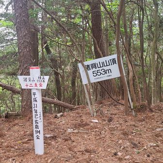 ⛰️近江百山⛰️ 猪背山・黒山 / araiotouの登山データ | YAMAP