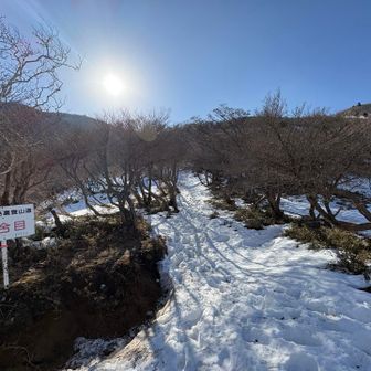 国見峠、、ももくらいまで踏みぬいてしまった、