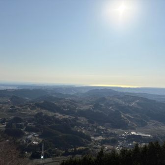 太陽と海と茶畑と