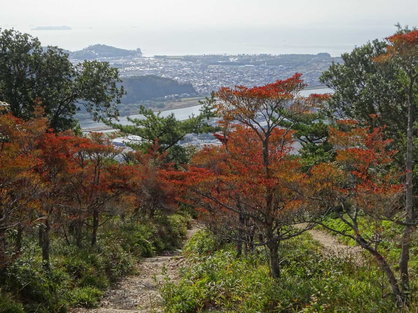 紅葉の道を下ります。