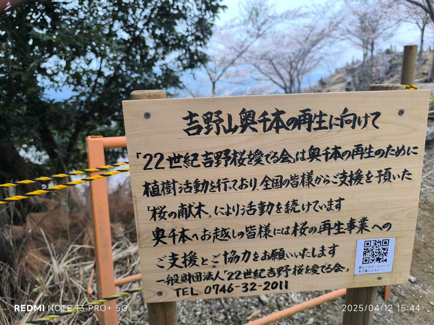 新しい🌳ですね。
数年後は、もっと楽しめそう😆💗