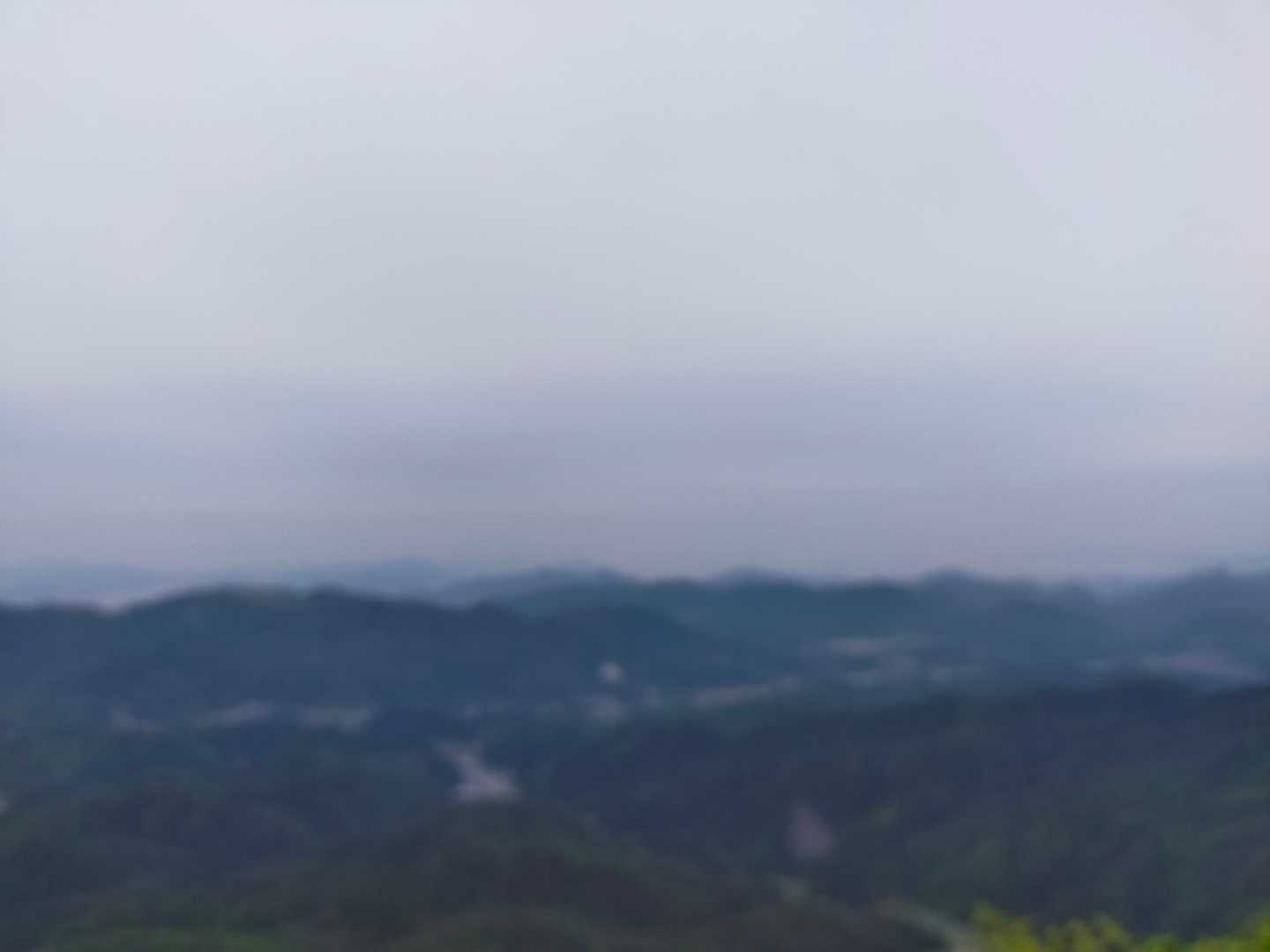 下川上登山口-大峯山-西大峯山-西大峯山登山口 周回コースの写真