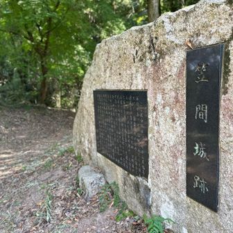 城跡。そう言えばこの辺の道路沿いに石垣があるなぁ。