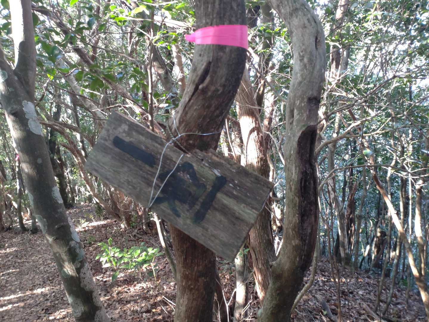 ここが一剣