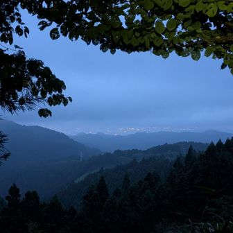 ある程度下りたら、日の出に間に合うように小仏城山に戻らなくちゃ💦
日の出間近なのに、空が青っぽい…