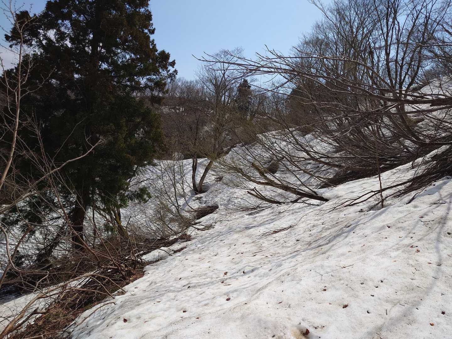 此処から先は踏跡無し、残雪多し(*_*)
⚠️慎重に歩きます🚶