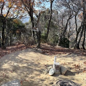 しかし、登山道が快適なので割とすぐに頂上に着いた。