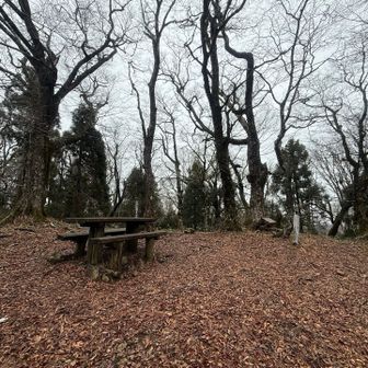 山頂の雰囲気。広くてベンチもあり、ゆっくりできる。