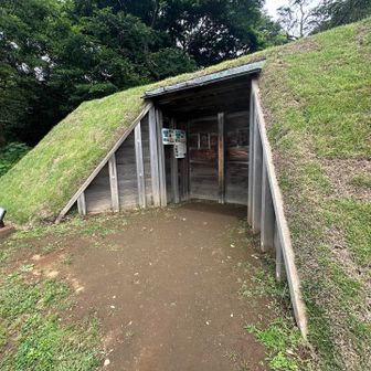 子覗⤴︎