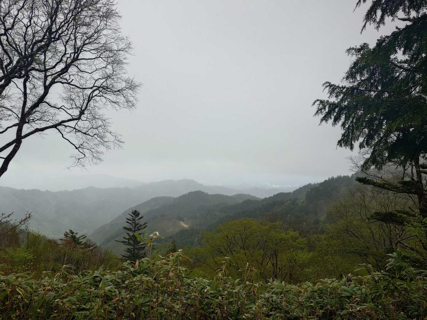 位山 往復コースの写真