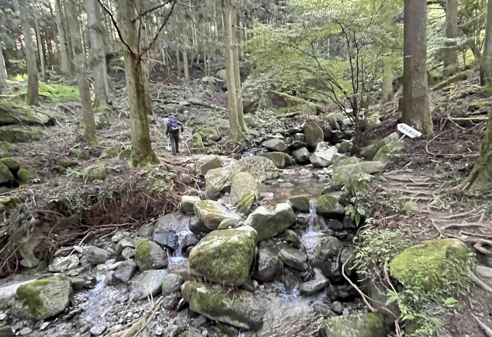 沢を何度か繰り返します