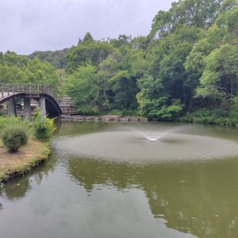 迷って下山したところに立派な池アリ、びっくり！！
