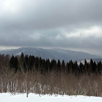 こっちもどんより