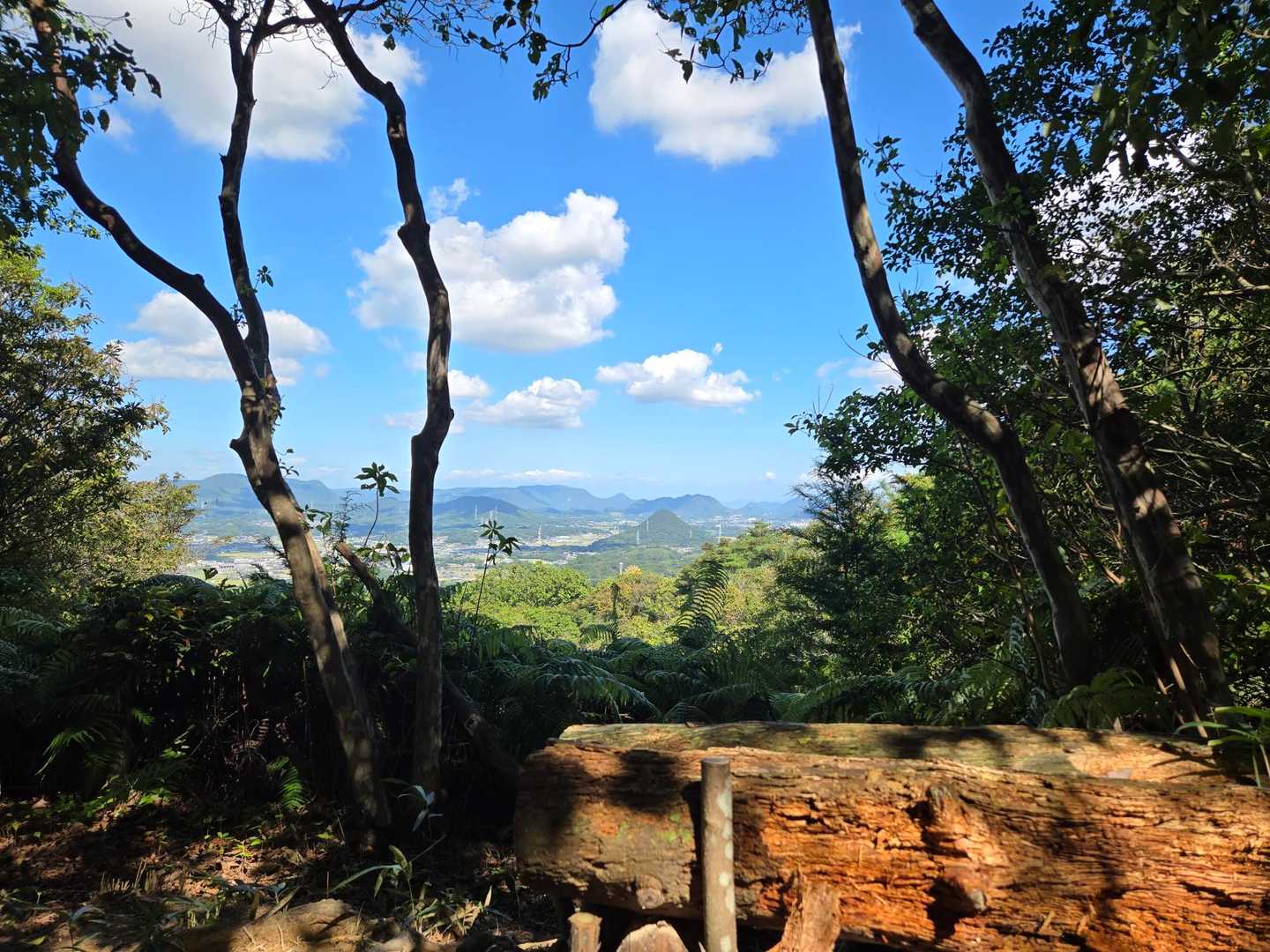 城山-こねこ山 周回コースの写真