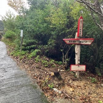 左の鳥居から降りてきました
右の石門口へ