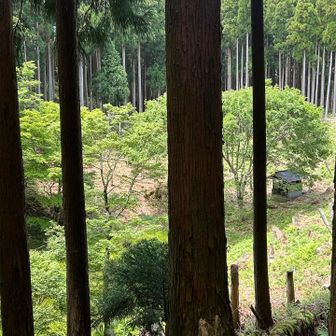 大鏡池　水はありません😅