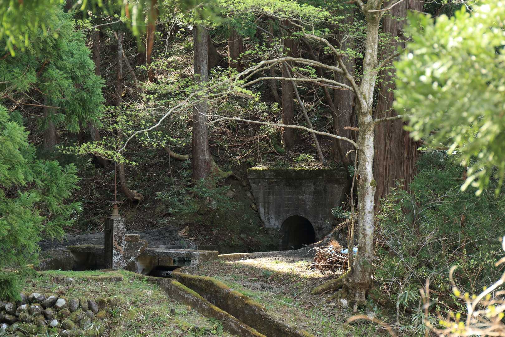 対岸に水路のトンネルがあるのが見えました。こんなのがあったんですね。