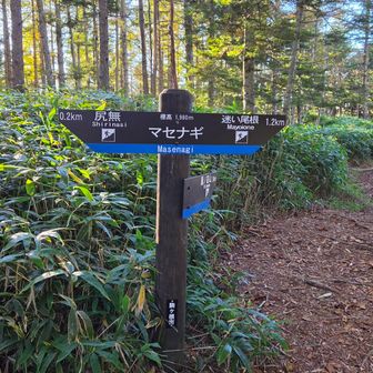 ここにも5、6人の上りの方々
｢ここで1000m上げてる、あと1000mだ｣とお話されてました

（ということは俺はまだあと1000m下るのね…）
などと思ってました😅
もっと下った気がしてたんですけどね(笑)