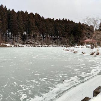 医王の里の池凍ってる
