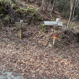 大山峠到着です　縦走断念して下山します🫩