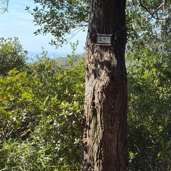 城山到着です