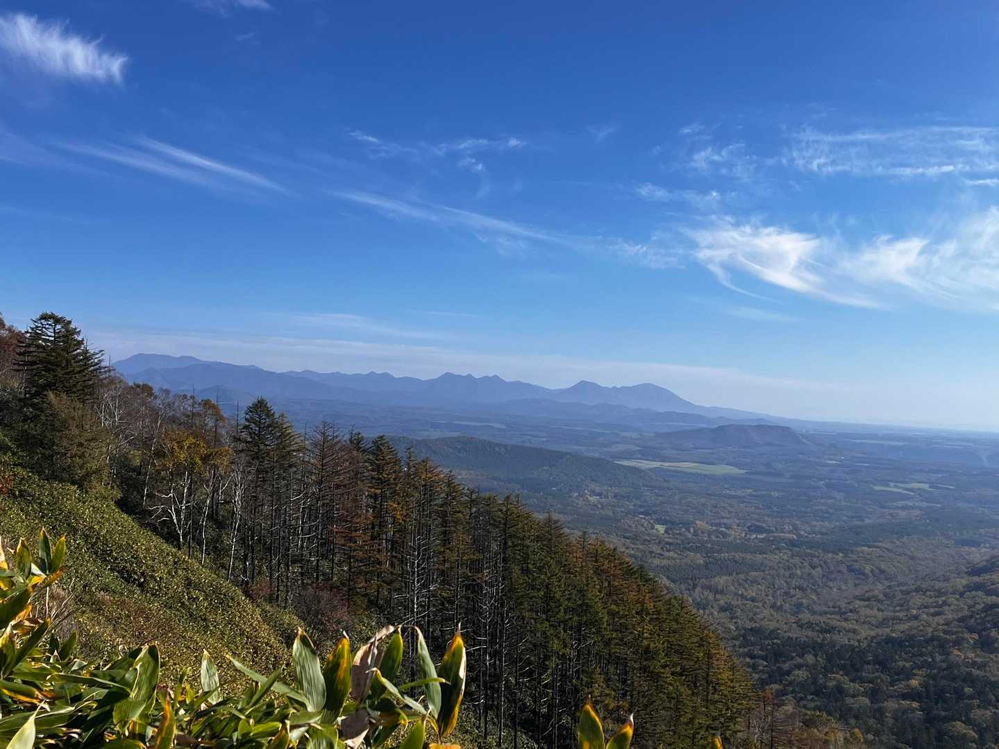 佐幌岳登山口-桜山-佐幌岳 往復コースの写真