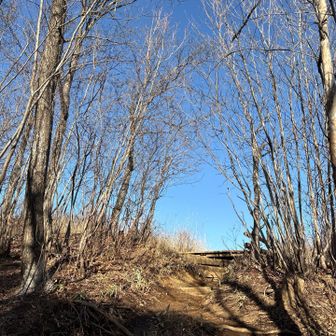 山頂への抜け感が何時も良い👍