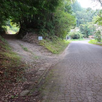 竜神山へ向かいます！分岐を左へ