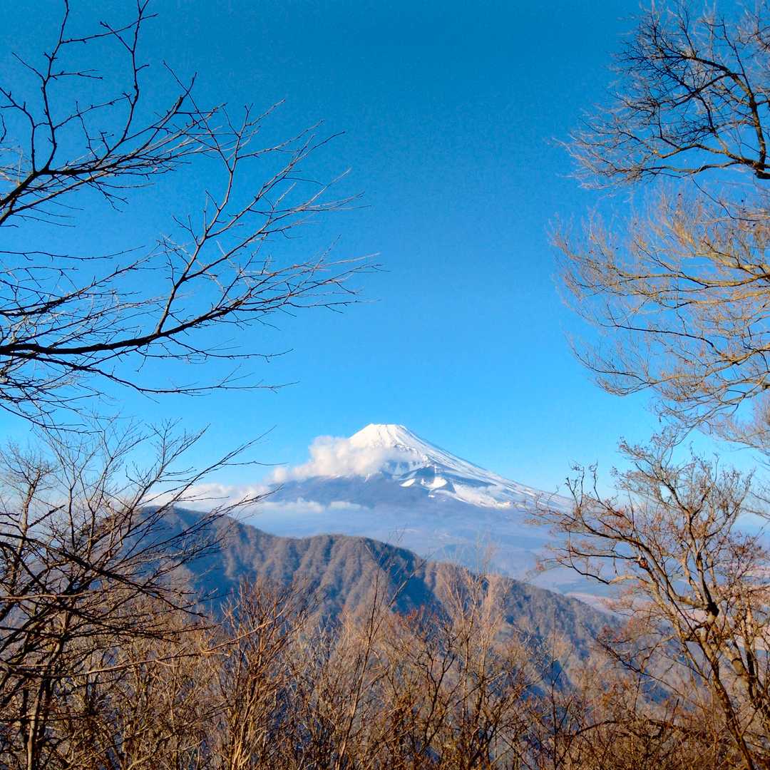 見えました😆富士山